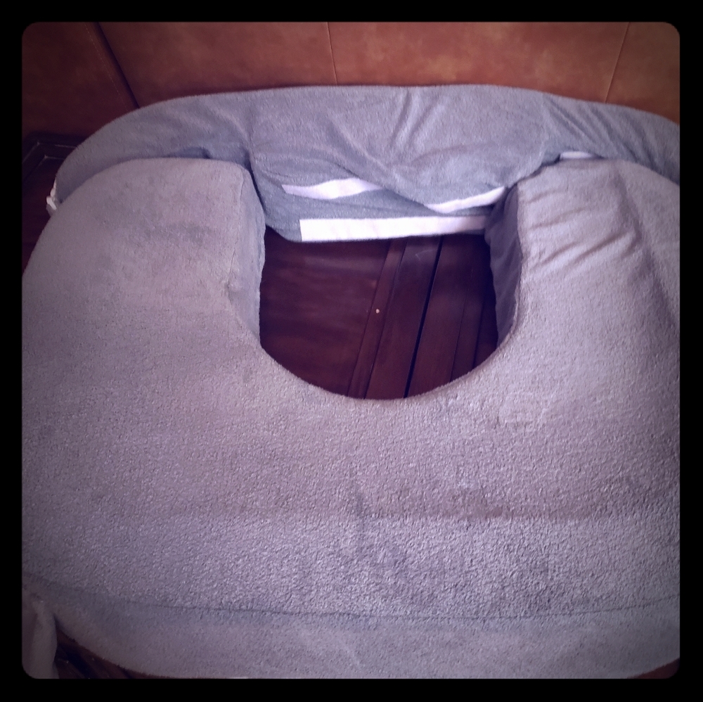 My Brest Friends Twin Pillow